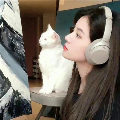 敌对边境